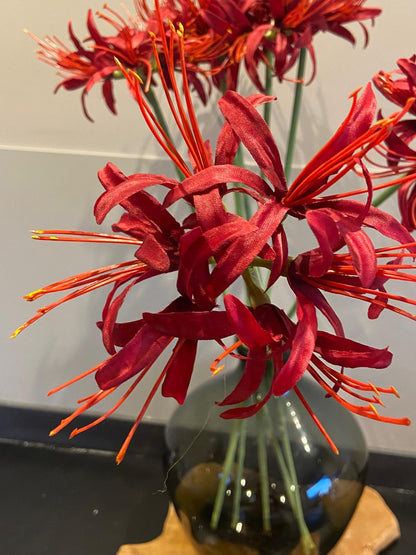 Zijden Nerine 70 cm