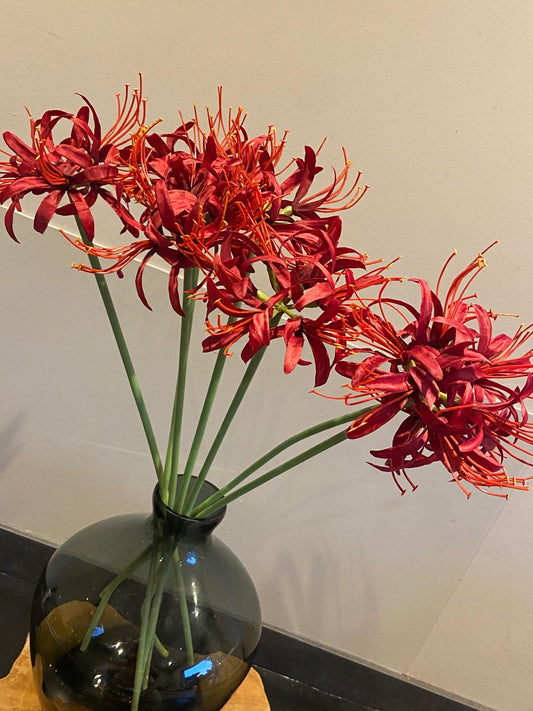 Zijden Nerine 70 cm