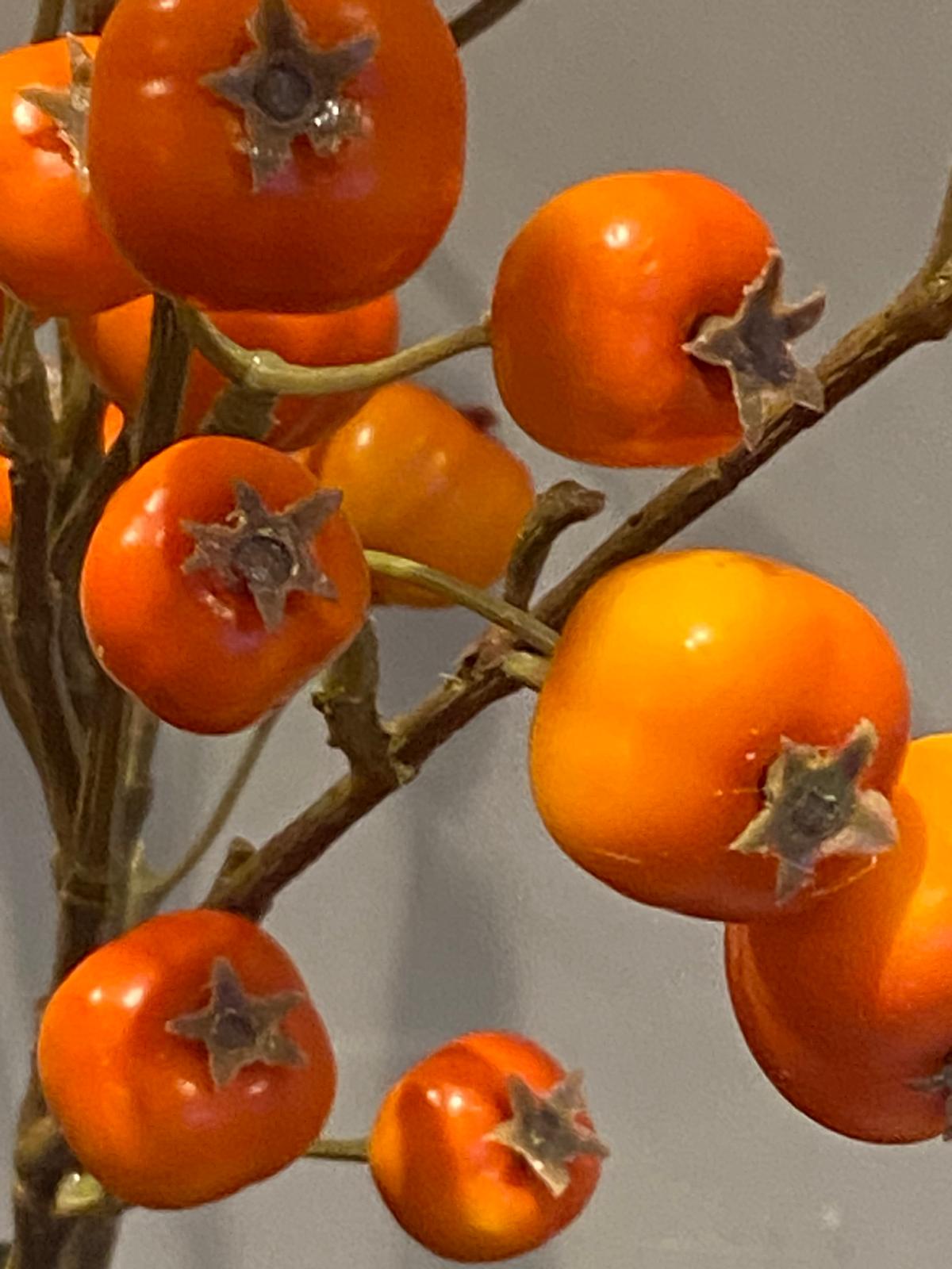 Zijden Appeltak 58cm