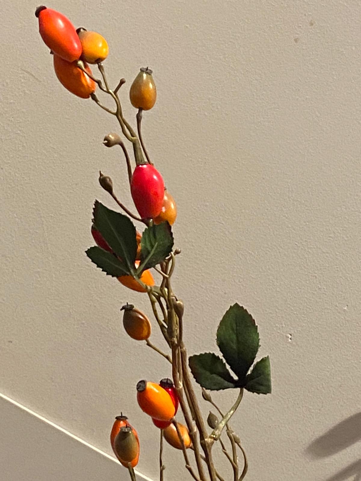 rose