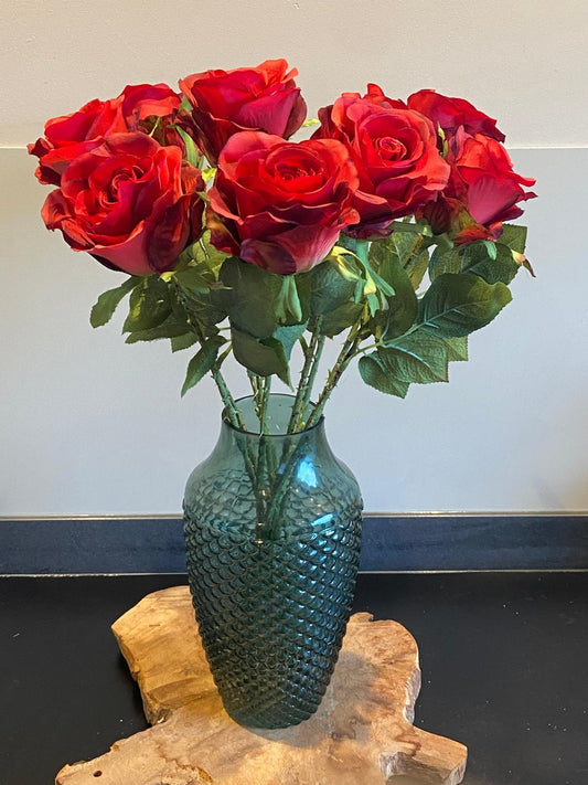 Roos 52 cm