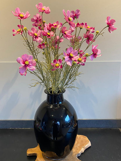 Cosmea 72 cm