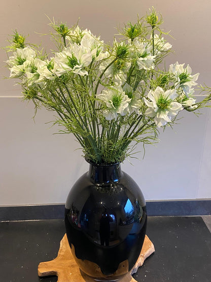 Nigella 66 cm