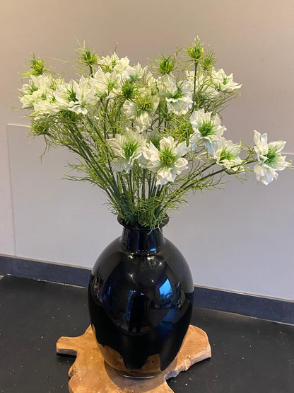 Nigella 66 cm