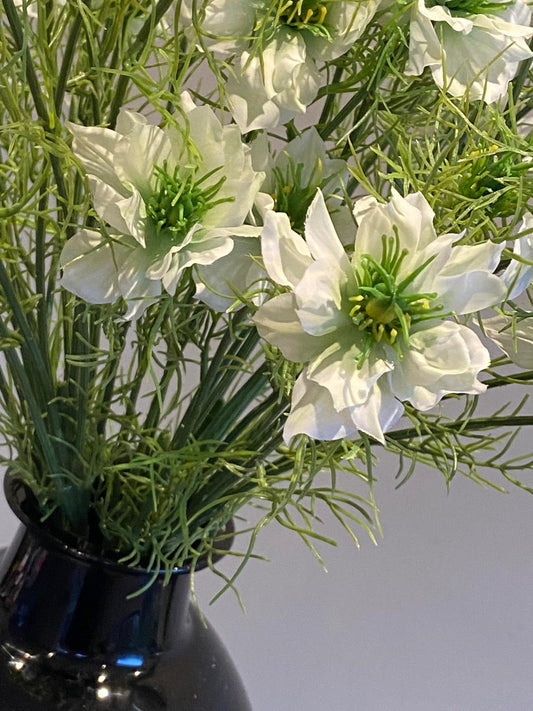 Nigella 66 cm