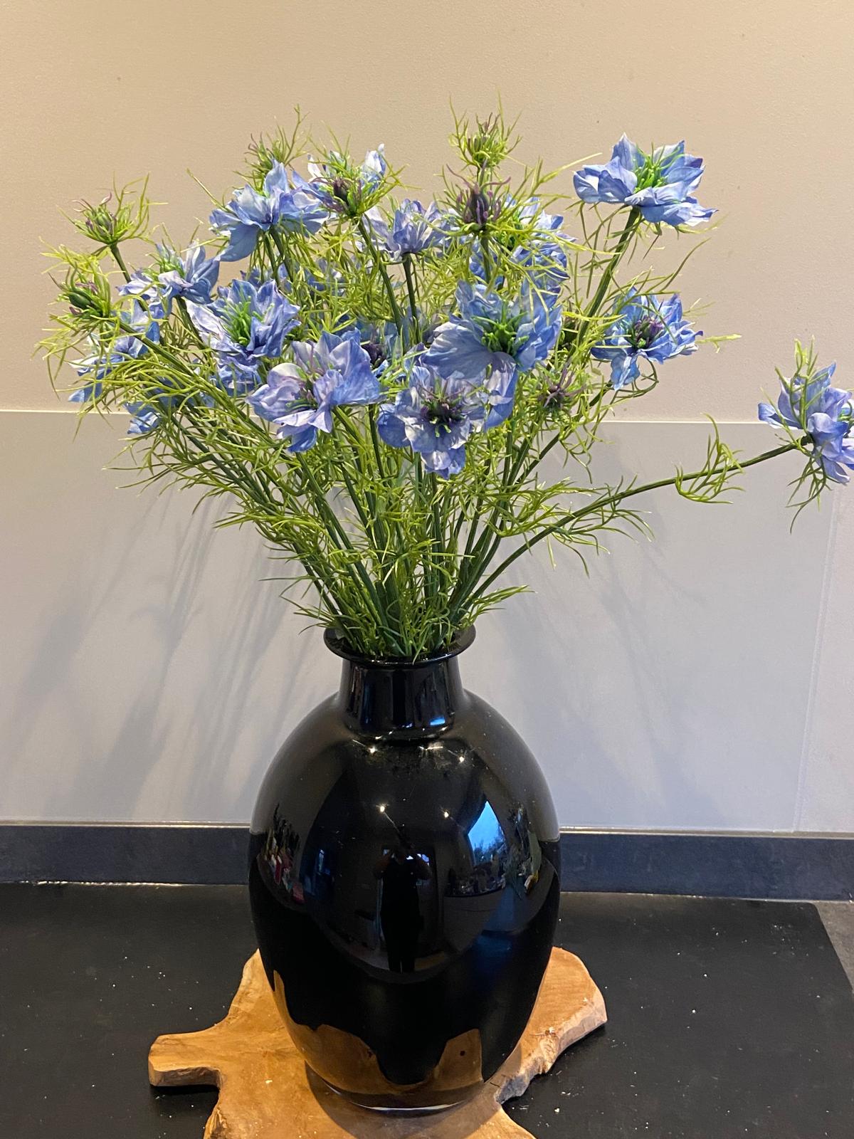 Nigella 66 cm