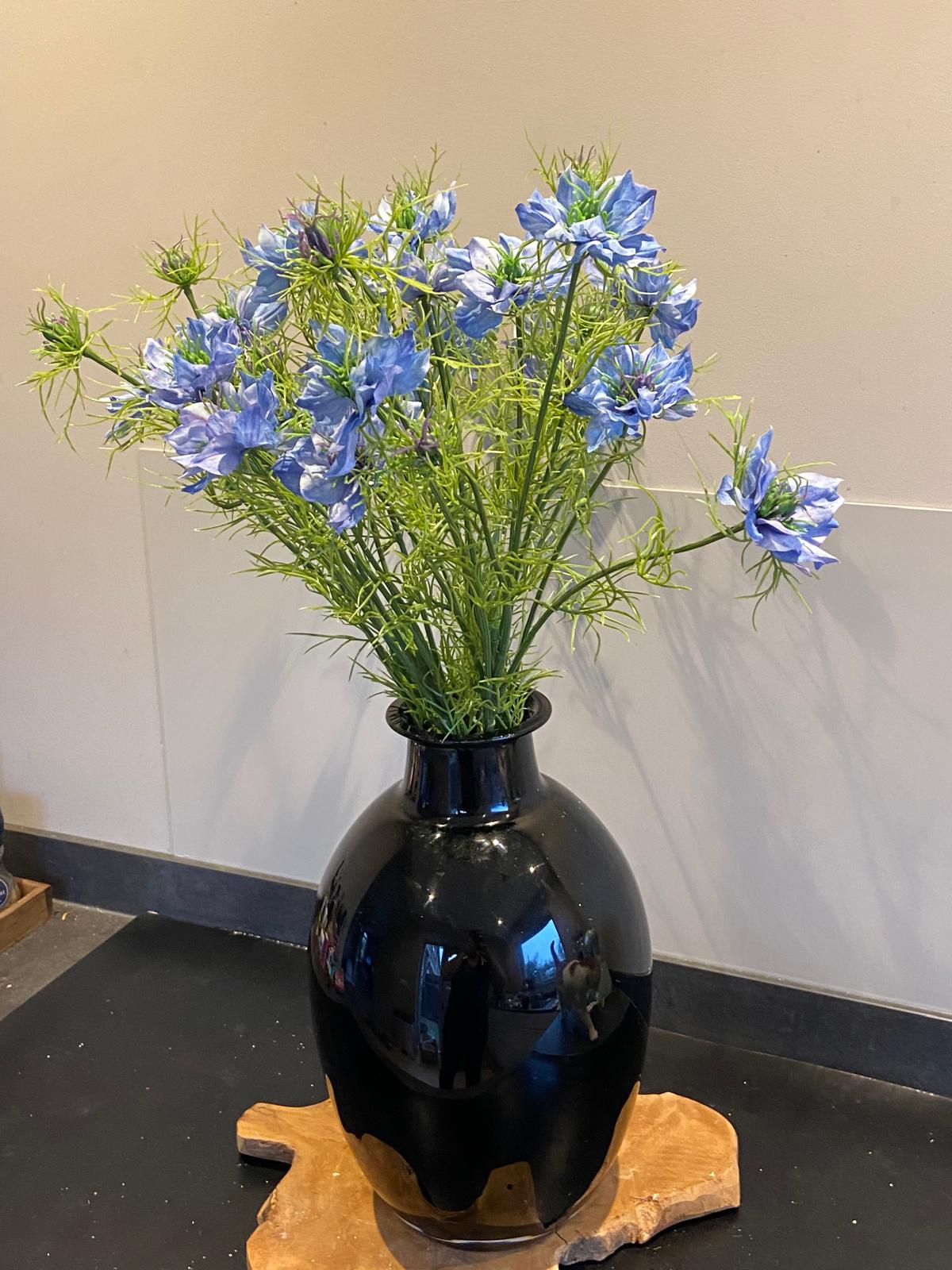 Nigella 66 cm