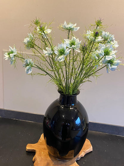 Nigella 66 cm