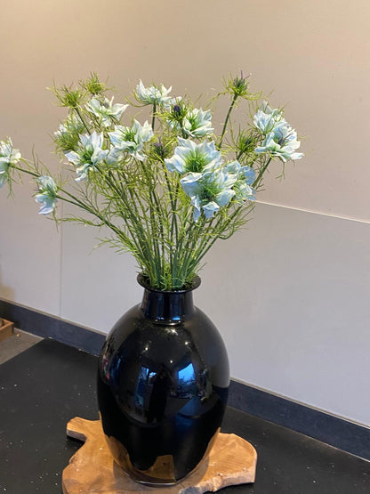 Nigella 66 cm