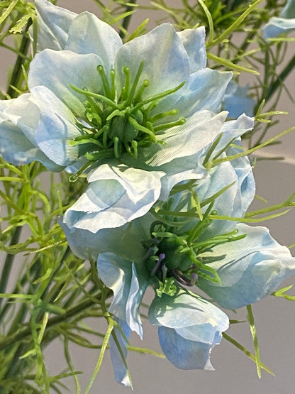 Nigella 66 cm