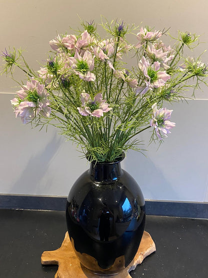 Nigella 66 cm