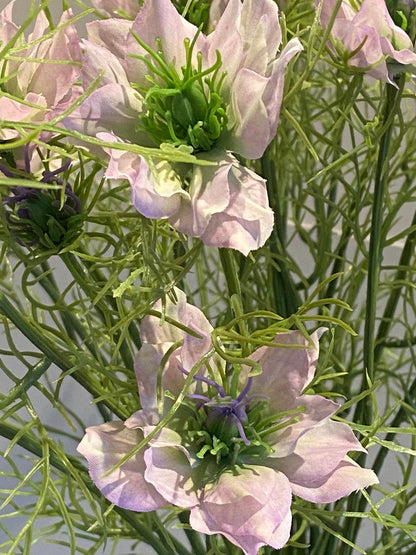 Nigella 66 cm