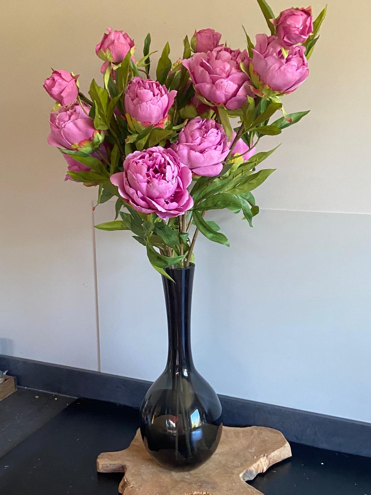 Pioenroos  Spring Dreams 65cm