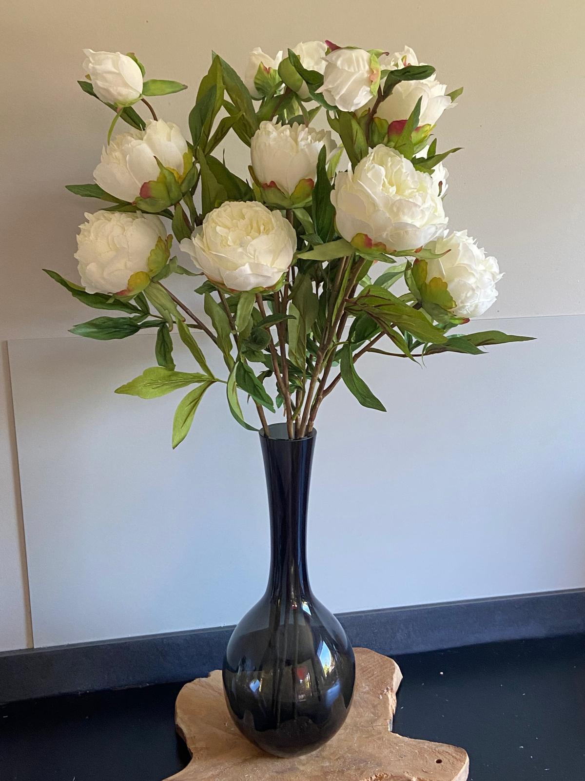 Pioenroos  Spring Dreams 65cm