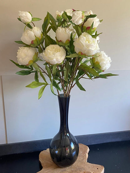 Pioenroos  Spring Dreams 65cm