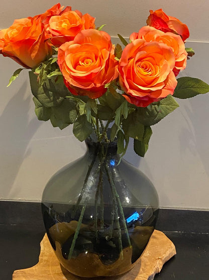 Roos 52 cm