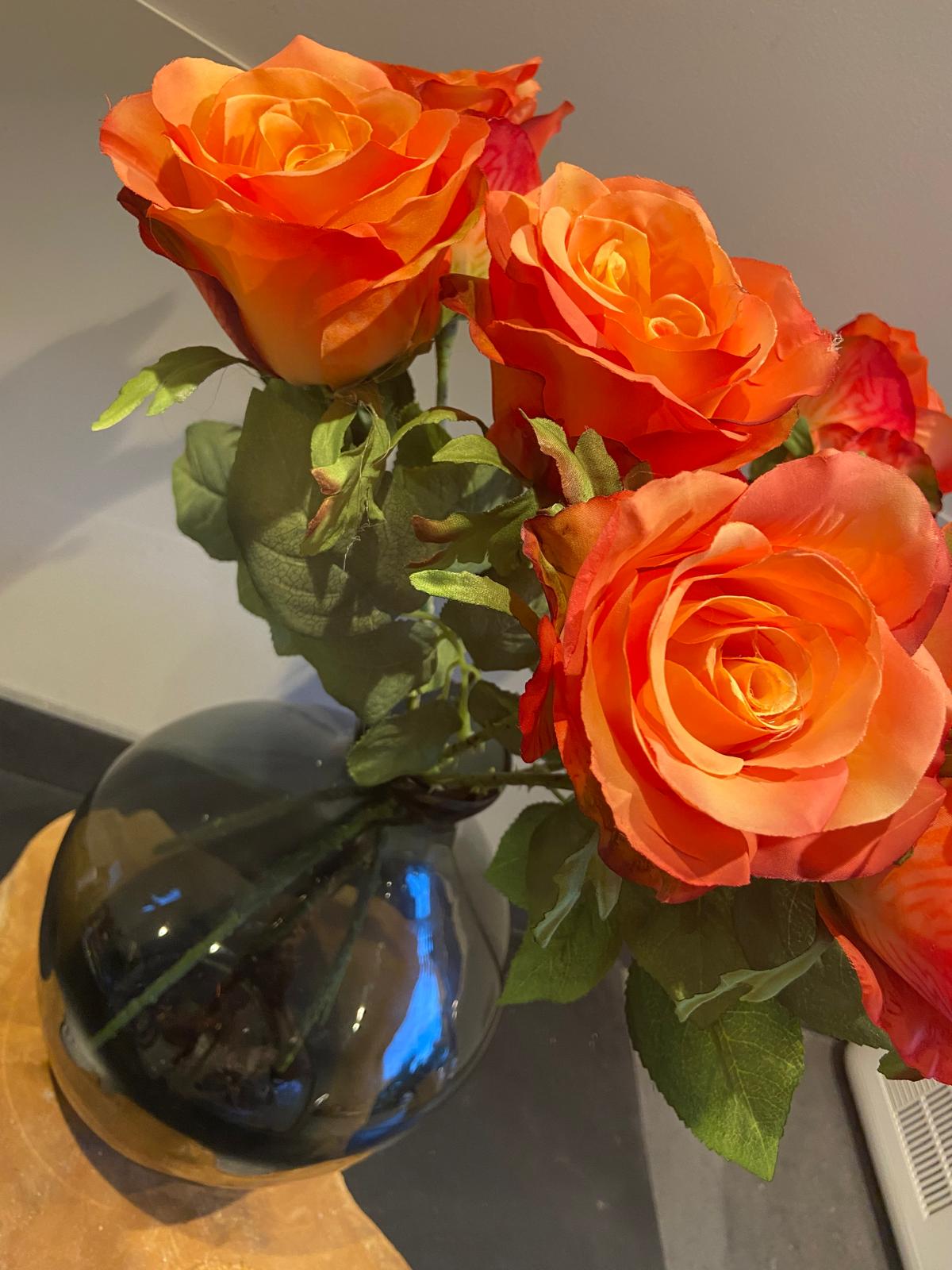 Roos 52 cm