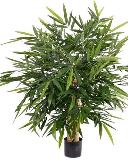 Bamboebush 'Kowloon', 3 stam, 1.280 bladeren, 105 x 105cm, UVsafe