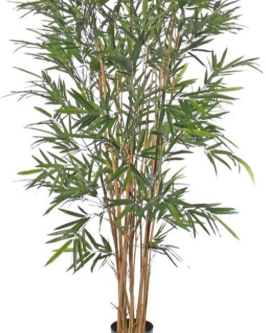 Bamboe 'Osaka', met 9 bamboestammen & 1170 bladeren, 120 cm