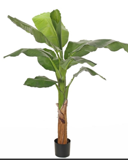 Bananenboom (Musa) 'Royal' met 10 polyester bladeren, in pot, H. 150 cm