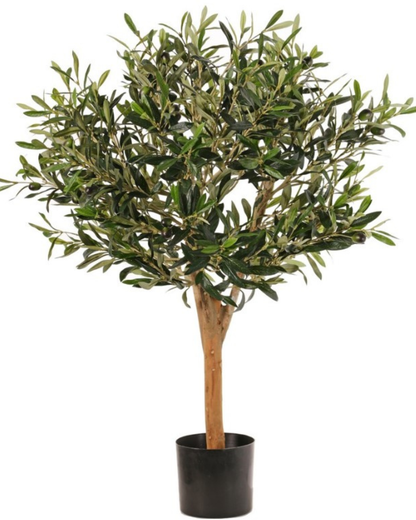 Olijfbolboom (Olea) met 1.248 blad & 30 olijven, echt houten stam, in pot, Ø 50 cm, hoogte: 85 cm