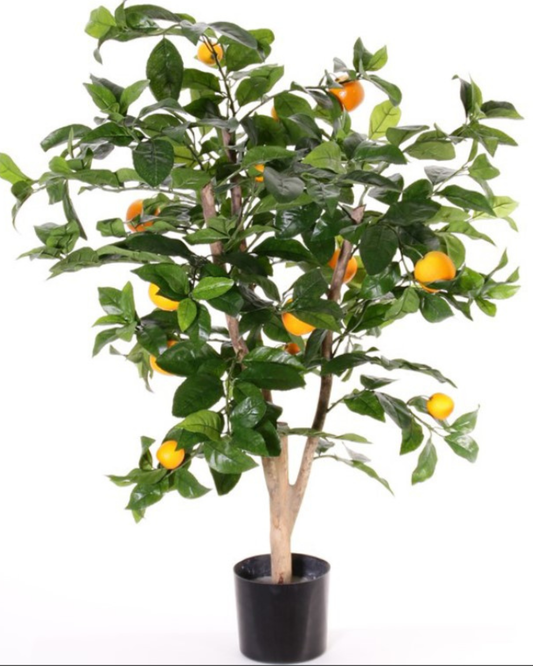 Sinaasappelboompje (Citrus sinensis), 13 fruit, 378 bladeren, 85cm, Ø 65c
