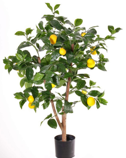 Citroenboompje (Citrus limon), 13 fruit 378 bladeren, 85cm, Ø 65cm, in pot