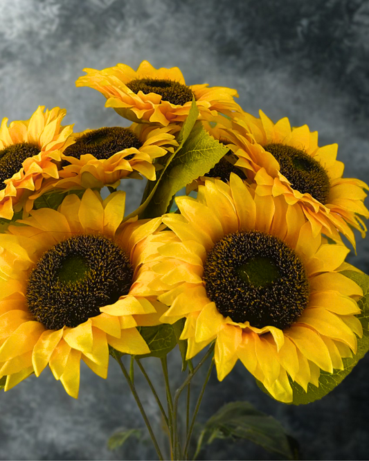 Zonnebloem