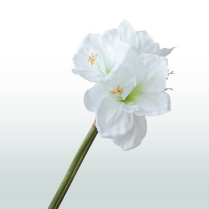 Amaryllis 67cm
