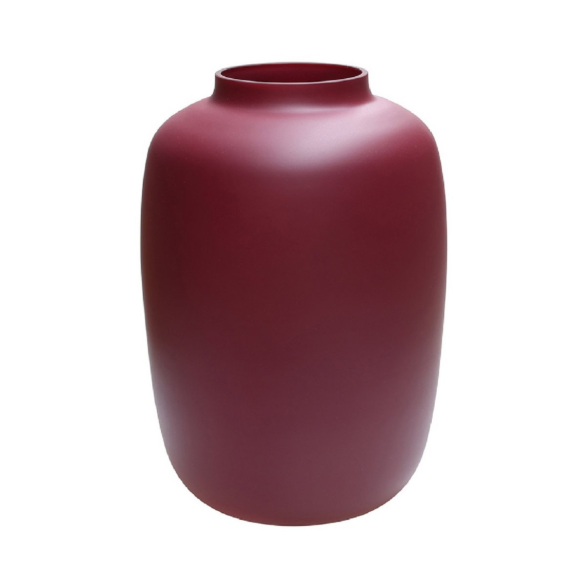Vaas - Artic matte violet