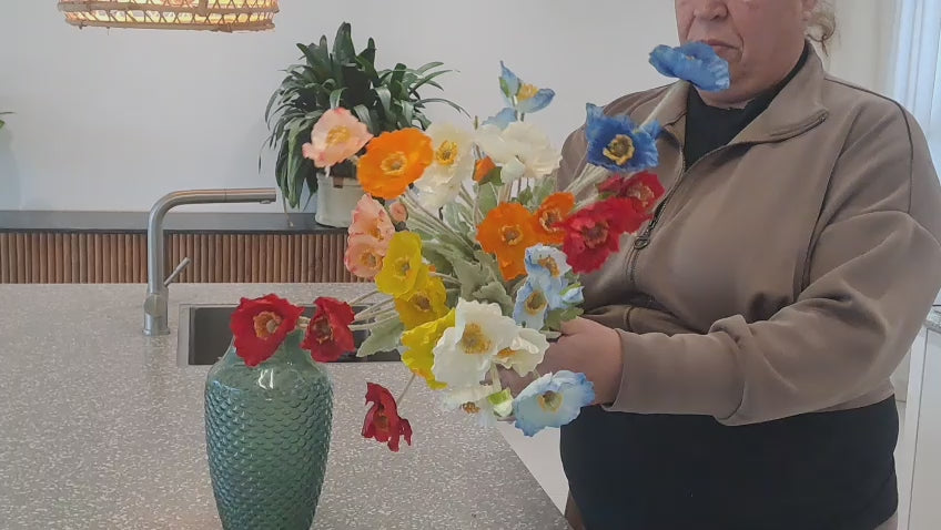Video laden: 