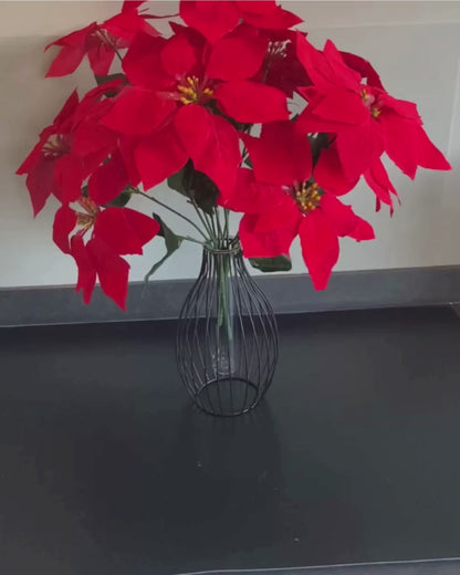 kerstster